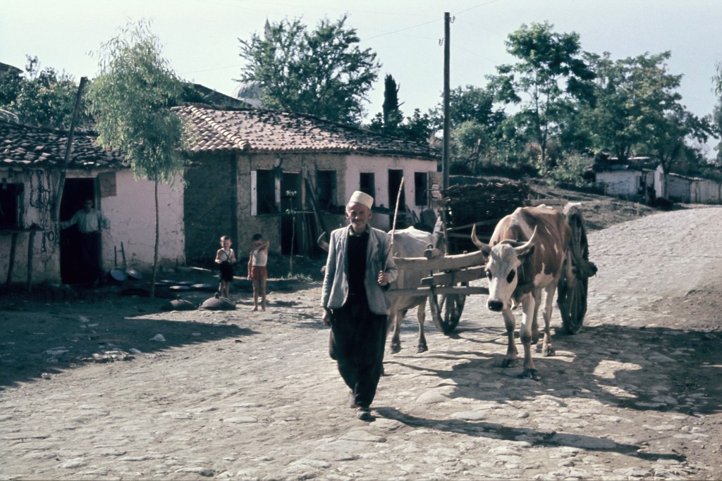 FOTO GALERI/ Ja si ishte Shqipëria në vitin 1957…, nga Xarra në Koplik