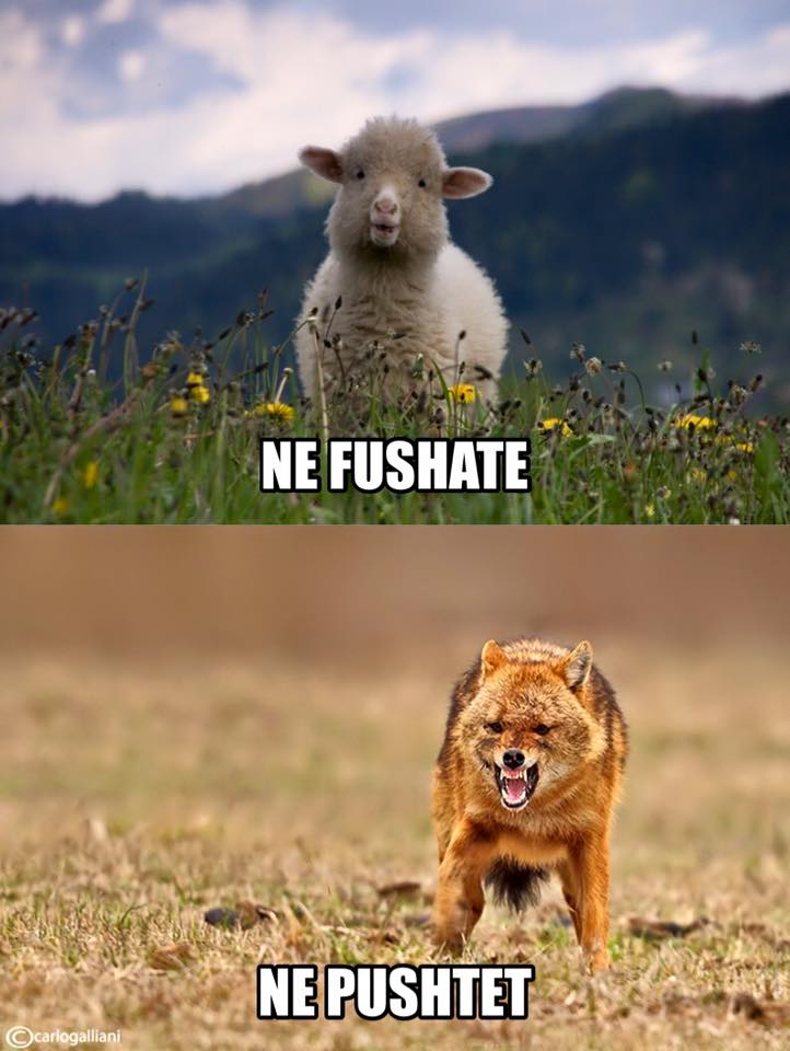 ARTAN FUGA/ Në fushatë qengj, në pushtet ujkë