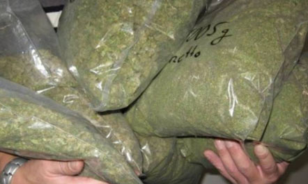 Sarandë, sekuestrohen 20 kg kanabis, në pranga 26 vjeçari