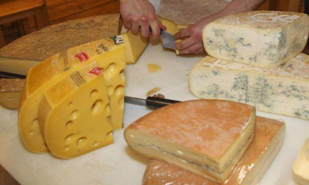 Obeziteti; qumështi dhe djathi nuk iu shëndoshin