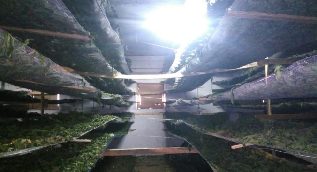 “Pronari i magazinës së drogës në Rrëshen, nipi i Zef Brozit”