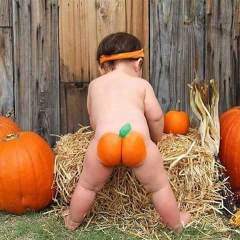 FOTO HUMOR/ ‘Piktura më e bukur’ !