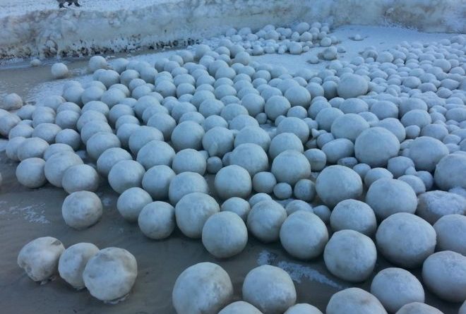 FOTO LAJM/ “Dhurata” e natyrës