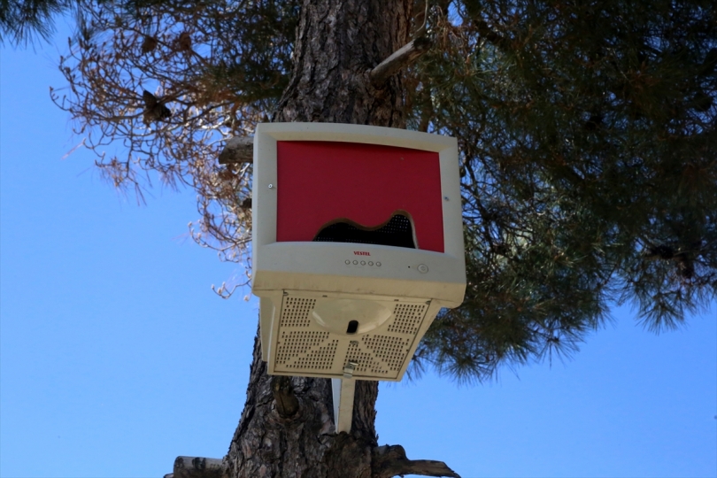 Monitorët e vjetër të kompjuterëve kthehen në fole zogjsh