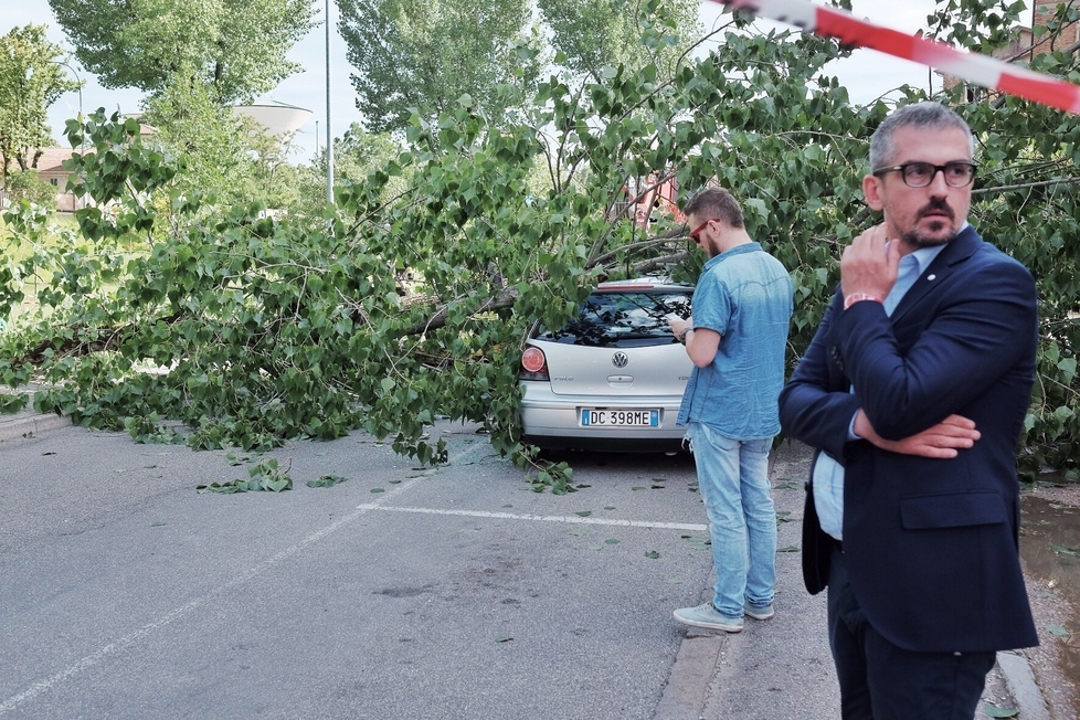 Rrëzohet pema mbi makinë, humb jetën 57-vjeçarja shqiptare