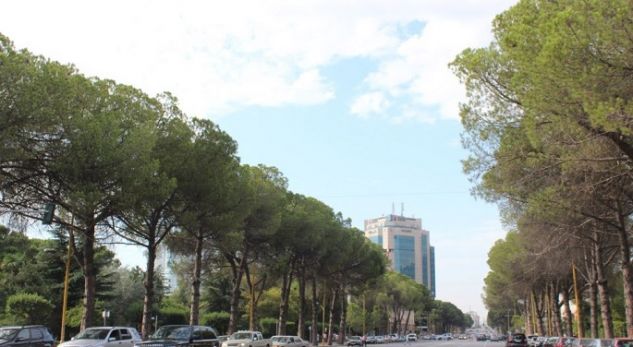 47-vjeçari seks në mes bulevardit “Dëshmorët e Kombit” në Tiranë