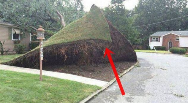 Foto që të lënë pa mend. Si janë realizuar vallë?