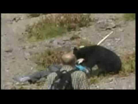 Gramsh, ariu sulmon një adoleshent në pyll. Hoxholli në gjendje të rëndë