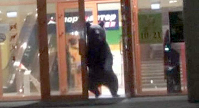 Ariu hyn në qendër tregtare, vritet nga policë të kamufluar