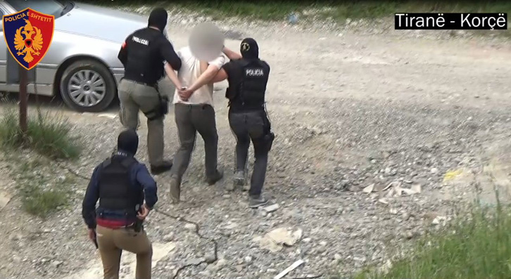 DETAJE/ Agjenti i infiltruar i operacionit “Moglica”, zbuloi trafikun e armëve Korçë – Tiranë