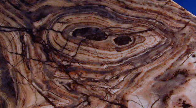 Jeta në Tokë është shfaqur shumë më parë nga se mendohej