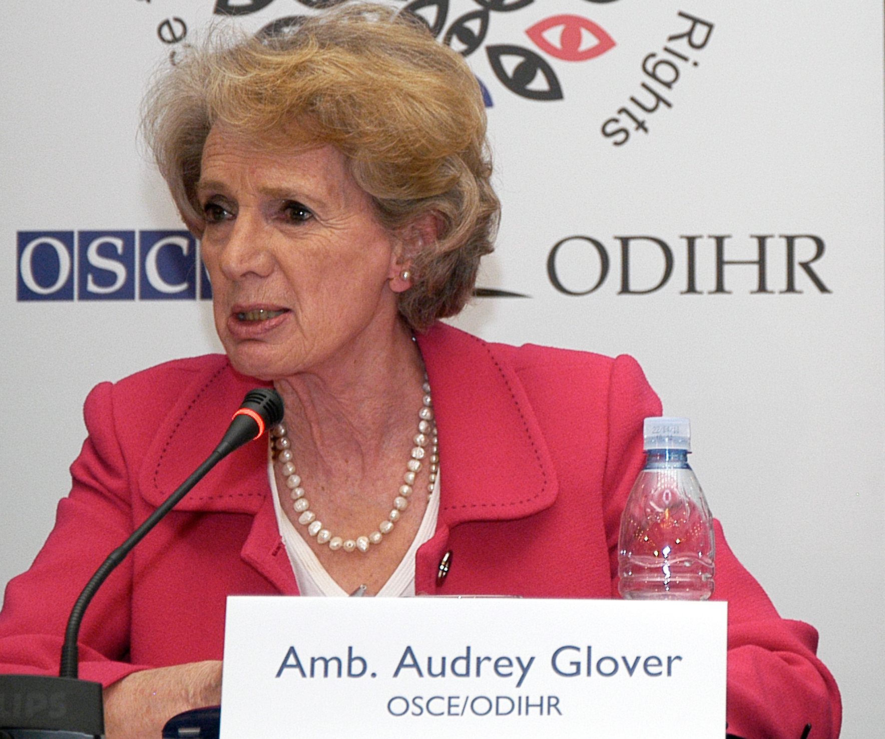 Glover zbarkon me ushtrinë e vëzhguesve, do merren me të gjitha çështjet para dhe pas zgjedhore