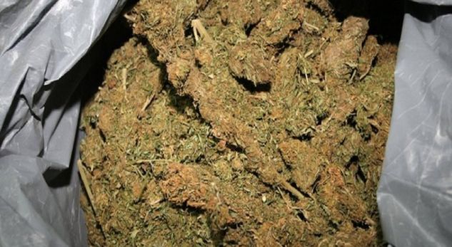 Kapen me130 kg kanabis në Janinë, 4 në pranga, mes tyre një vajzë 17 vjeç