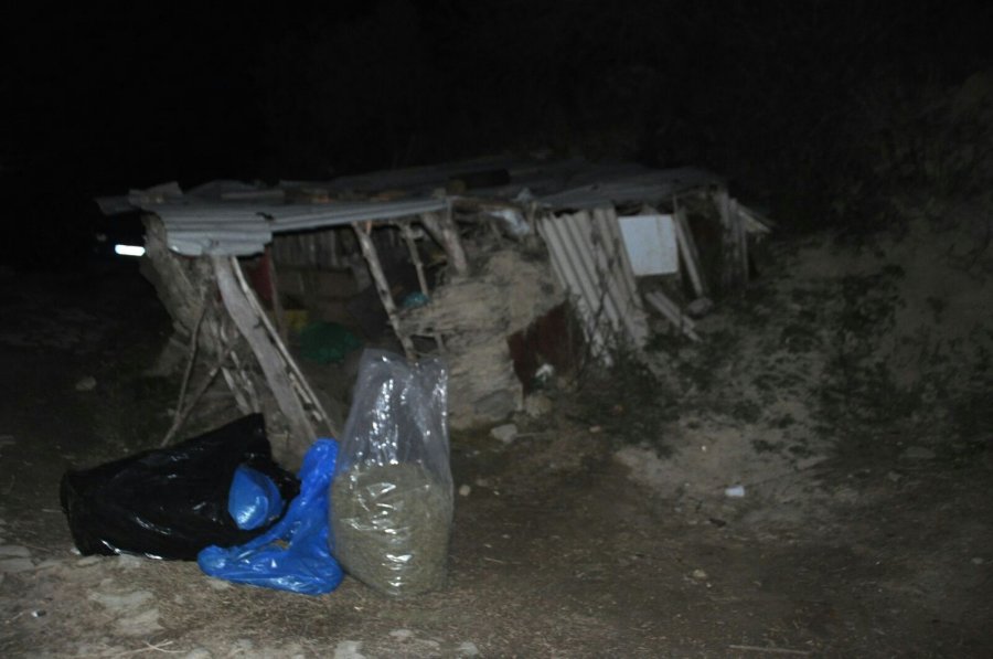 EMRI/Nga Tirana për të rritur kanabis në Memaliaj, në pranga