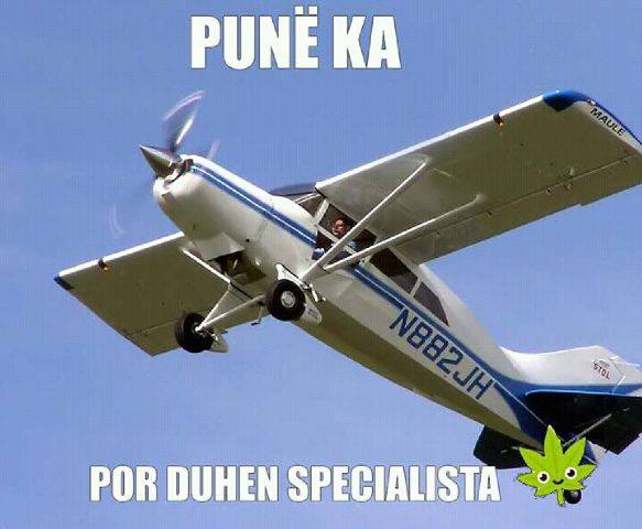 FOTO HUMOR/ Punë ka, por duhen specialista