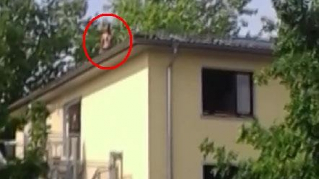 VIDEO/ Azilkërkuesi shqiptar tenton të vetëvritet, iu refuzua kërkesa për azil