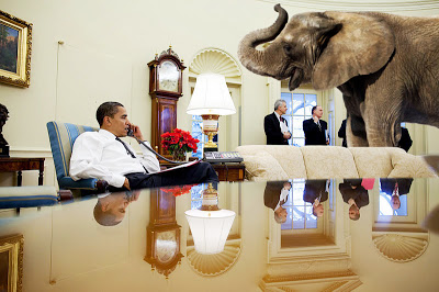 Shërbimi sekret ia ndalon Obamës shëtitjet me… elefantë!