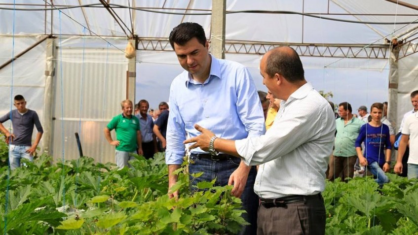 Basha: 100 milionë euro nga buxheti do shkojnë si subvencione drejtpërdrejt tek fermerët