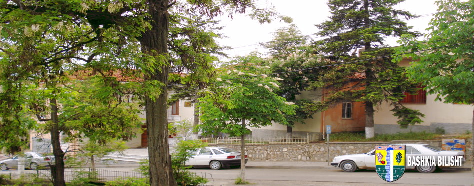 Bilisht, thyhen dyert dhe vidhen zyrat e Bashkisë