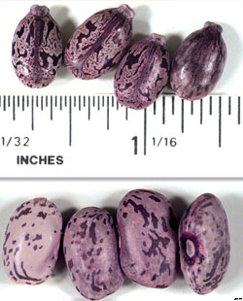 KGB-ja, vrasje me stil!