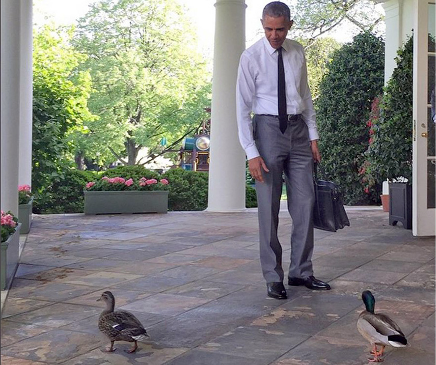 FOTO LAJM/ Barack Obama “kullot” rosat në Shtëpinë e Bardhë