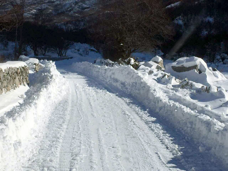 MOTI/ “Shtyhet” një ditë ngritja e temperaturave, nesër reshje bore edhe në jug të vendit