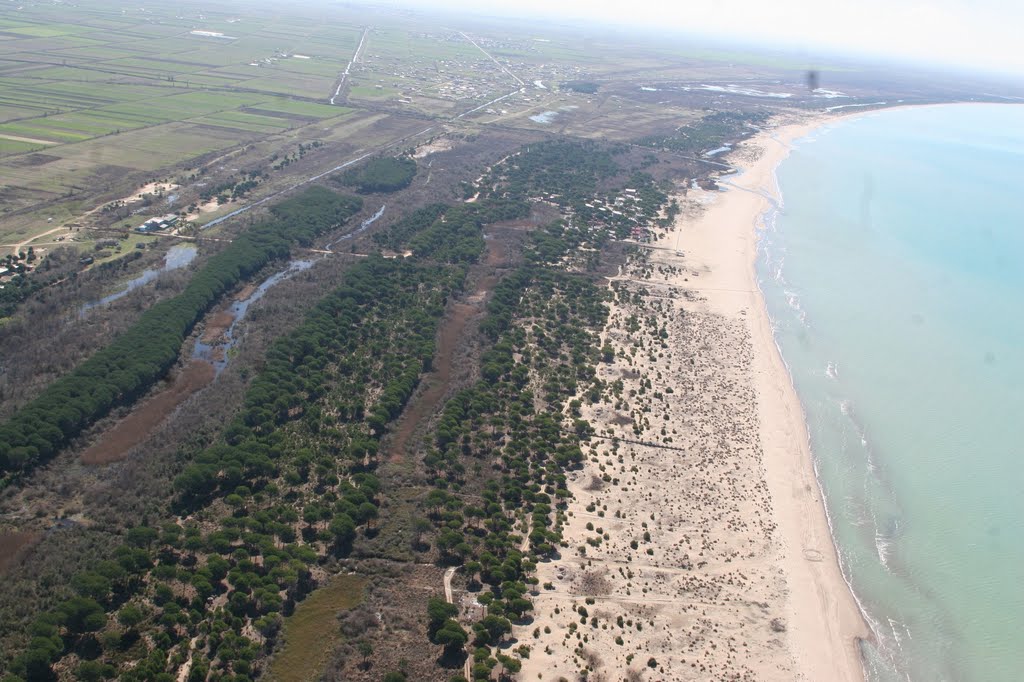 Ne pranga 3 zyrtarë të pronave në Kavajë, tjetërsuan 950 mijë metra tokë në bregdet