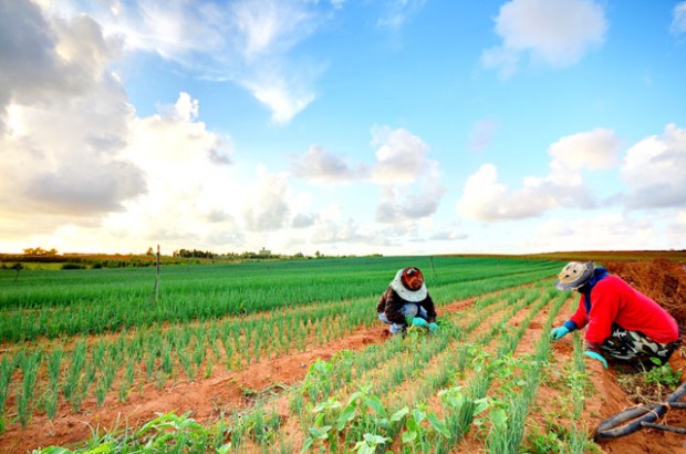Fermerët, pagesa në dorë për shitblerjet e produkteve