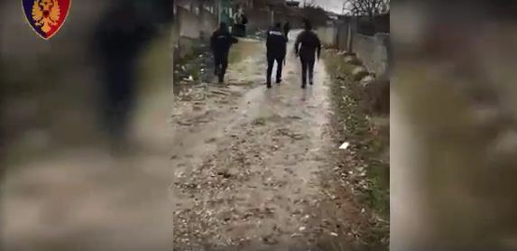 EMRAT/ Pesë të arrestuar, kapen 97 kg kanabis në Vlorë, Lezhë dhe Mat