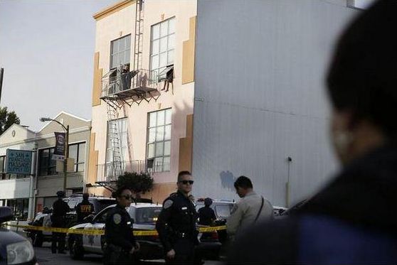 VIDEO/ Macja “bind” të zotin të mos vetëvritet