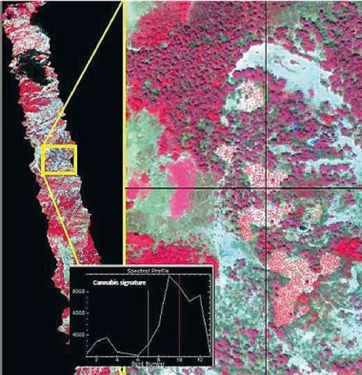 “Corriere de la sera”: Shqipëria, sera evropiane e drogës