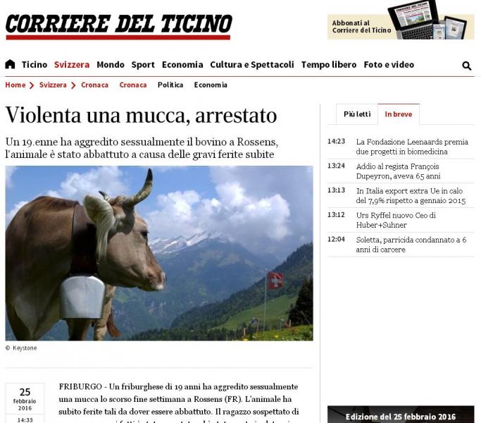 Zoofili: Seks me lopën, në pranga 19-vjeçari për përdhunim