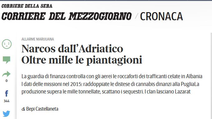 Corriere Della Sera: Dyfishohet sipërfaqja e kanabisit  në Shqipëri, për herë të parë prodhimi arrin 1 mijë ton