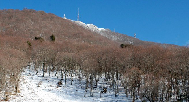 FOTO LAJM/ Dajti mbulohet nga bora, temperaturat ulen ndjeshëm