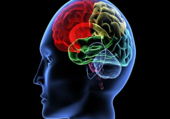 STUDIMI/ Sëmundja e diabetit, këshillat dhe masat për parandalimin e rënies së aftësisë njohëse