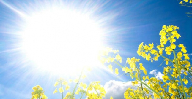 Lamtumirë dimër: Ja si do të jetë moti në muajin Mars