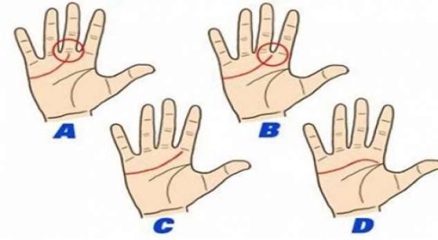 Të njohim veten sipas leximit të dorës