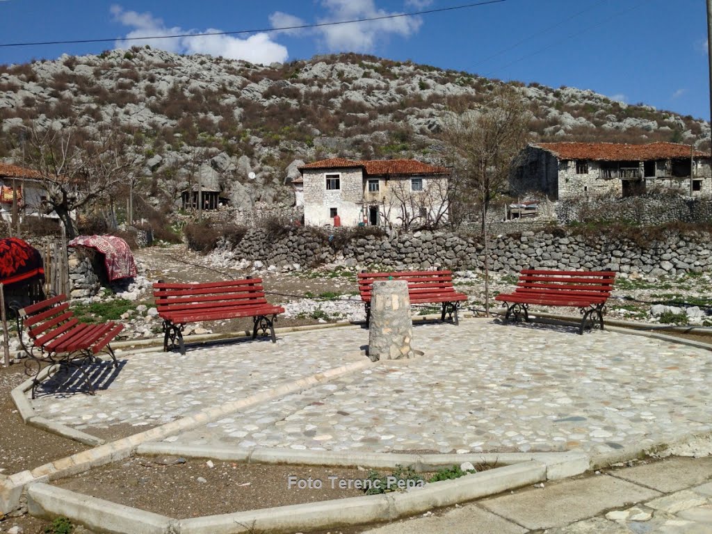 Egzekutohen dy vëllezër në Shkodër