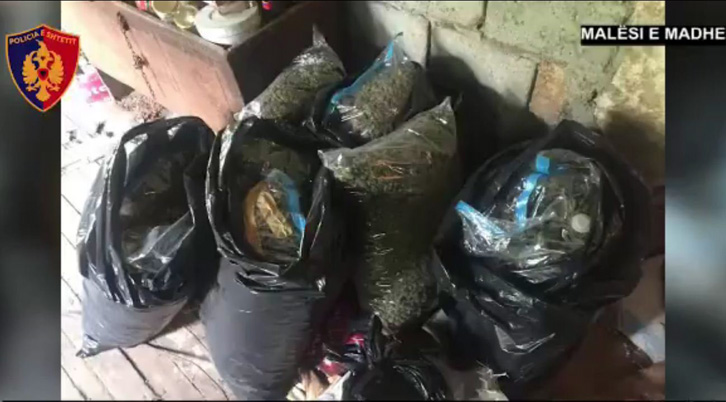 VIDEO & EMRI/ Malësi e Madhe, gjendet 64 kg drogë në banesë, arrestohet një person