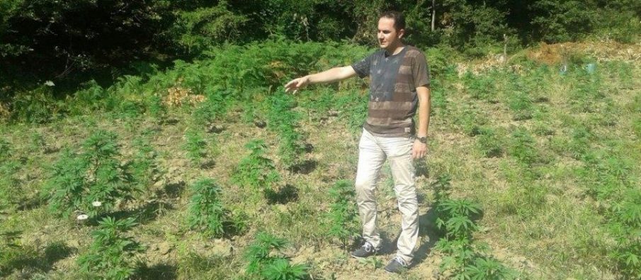 “Edi Rama është përgjegjës për çdo rrënjë kanabis, për krimet e pasojat që vijnë nga droga”