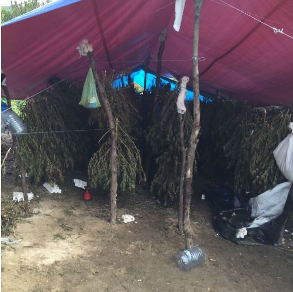 KUSHËRINJTË/10 tonë drogë,a ka arsye Tahiri të jetë i mërzitur