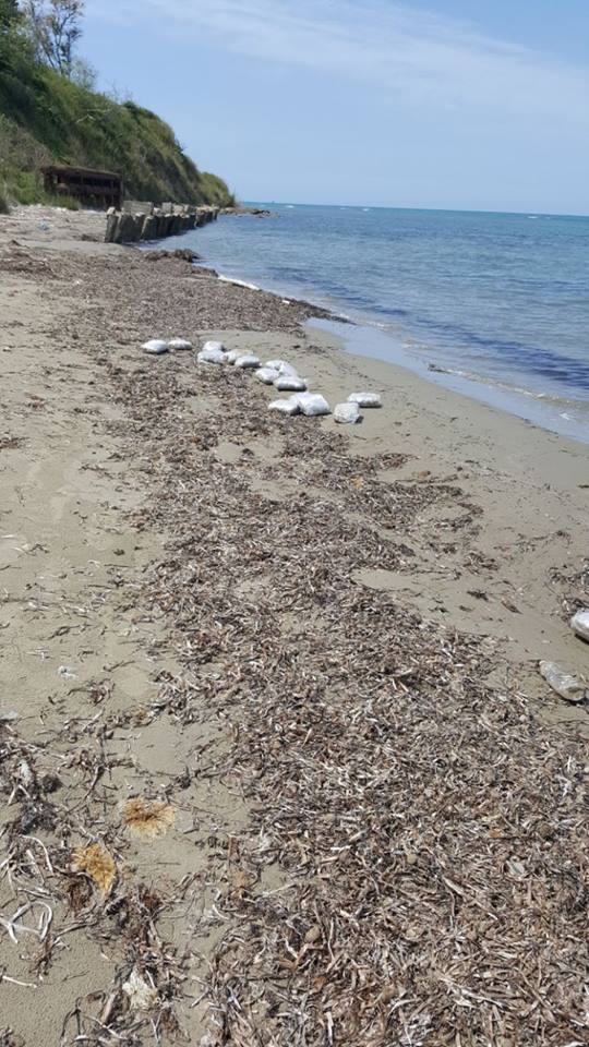 Durrës, gjenden 116 kg drogë tek “Kepi i Palit”