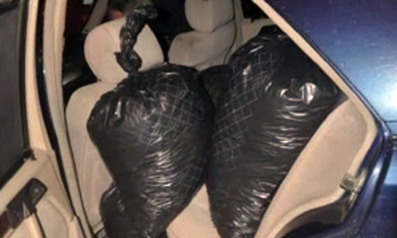 EMRAT/ Sekuestrohen 60 kg kanabis, 4 në pranga në Tiranë