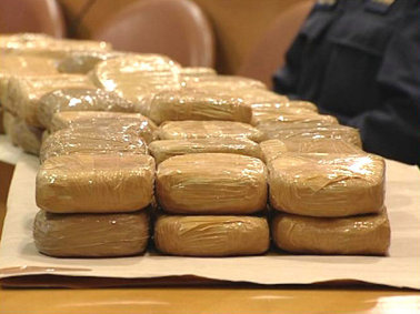 Gjirokastër, sekuestrohen 90 kg marihuanë, një në pranga një në kërkim