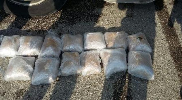 Sekuestrohen 32 kg kanabis sativa në Lezhë, autori i i ikën policisë