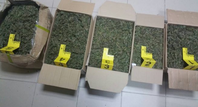 Kapen 3 persona duke shkëmbyer drogë në Pogradec