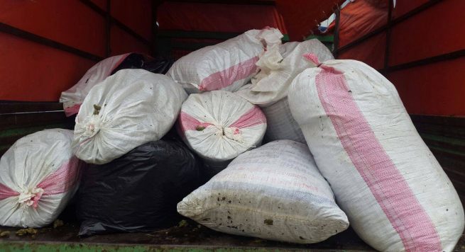 Vendimi/ Mbetet në burg pronari i magazinës të 1.3 ton drogë në Krujë