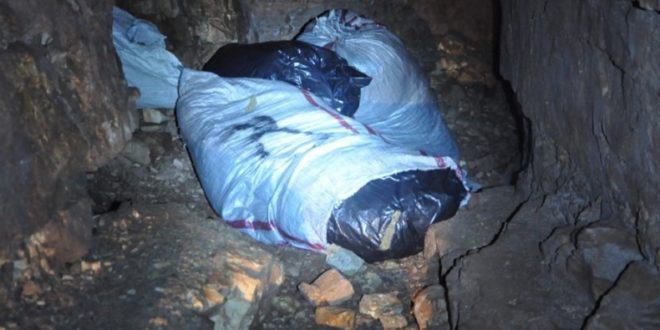 Kapen 1.2 ton kanabis sativa në tunel të nëndheshëm në Vlorë, një i arrestuar