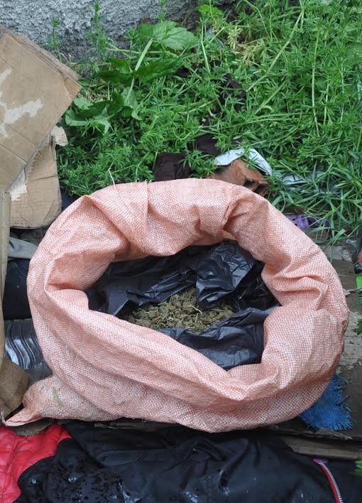 FOTO/ Korçë, sekuestrohet 19 kg kanabis, dy poseduesit në pranga