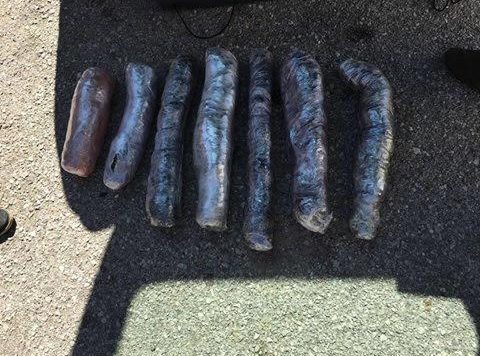 FOTO/ Kapet në Morinë me 7 pako drogë Elton Lika, hajduti i bankave